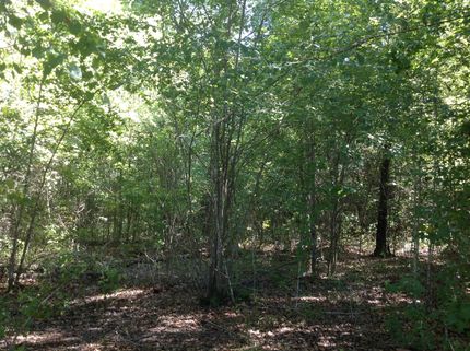 Land in Dallas County, Alabama