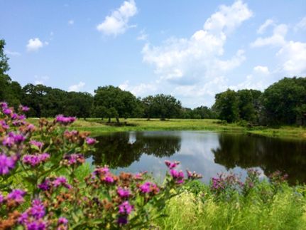 Farm and Ranch in Falls County, Texas