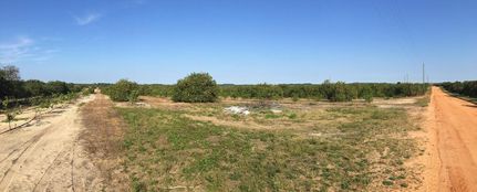 Farm and Ranch in Polk County, Florida