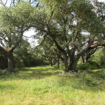 Farm and Ranch in Colorado County, Texas