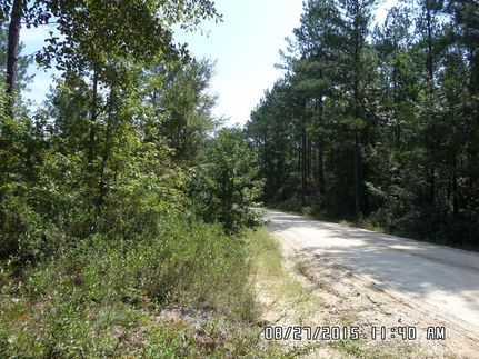 Undeveloped Land in Wayne County, Georgia