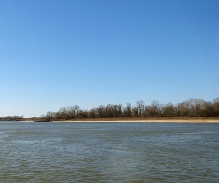 Timberland Property in Pulaski County, Arkansas