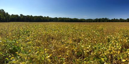 Land in Pike County, Missouri