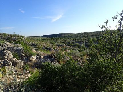 Farm and Ranch in Terrell County, Texas