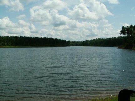 Farm and Ranch in Meriwether County, Georgia