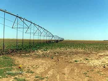Land in Cochran County, Texas