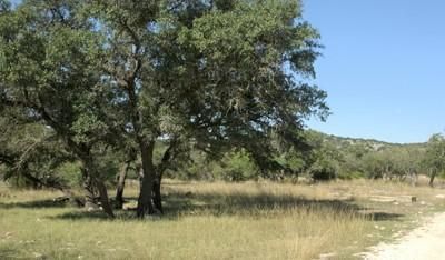 Farm and Ranch in Edwards County, Texas