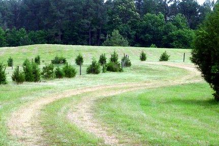 Farm and Ranch in Marshall County, Mississippi