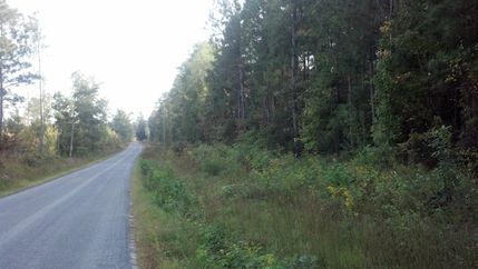 Land in Sussex County, Virginia
