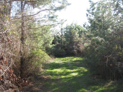 Land in Colleton County, South Carolina