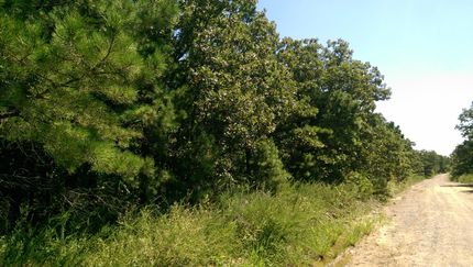 Timberland Property in Latimer County, Oklahoma
