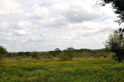 Farm and Ranch in Grimes County, Texas