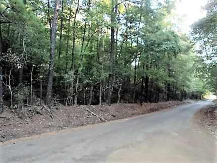 Undeveloped Land in Shelby County, Texas