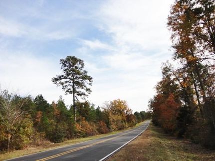 Farm and Ranch in Marion County, Texas