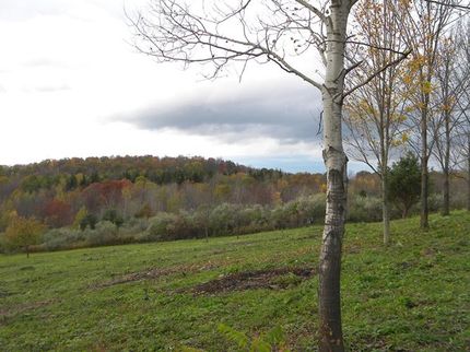 Homesite in Tioga County, New York