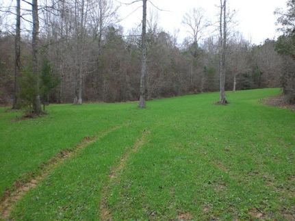 Farm and Ranch in Crenshaw County, Alabama