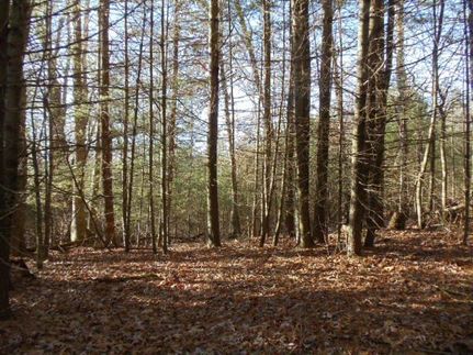 Farm and Ranch in Grayson County, Virginia