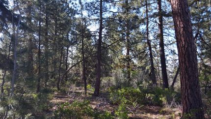 Farm and Ranch in Klamath County, Oregon