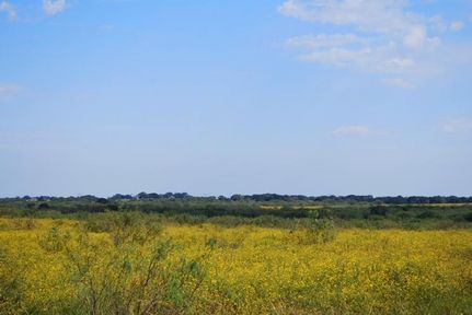 Land in Atascosa County, Texas