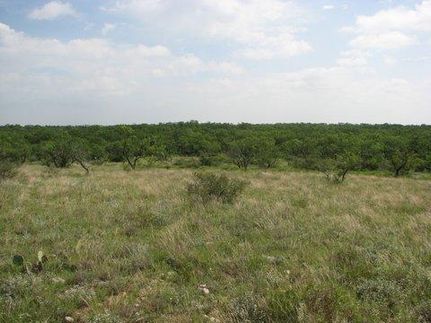 Farm and Ranch in Runnels County, Texas
