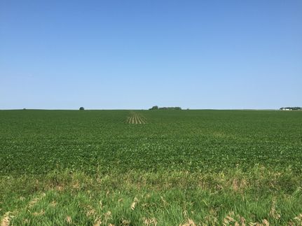Land in Emmet County, Iowa