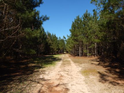 Farm and Ranch in Macon County, Georgia
