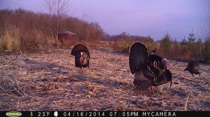 Land in Rock County, Wisconsin