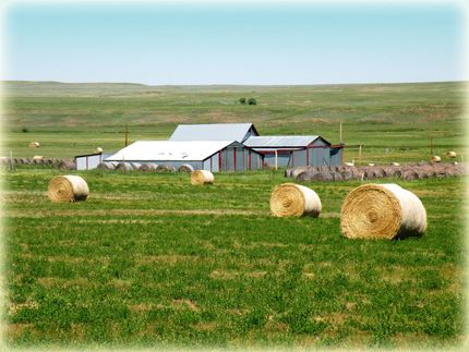 Land in Fergus County, Montana