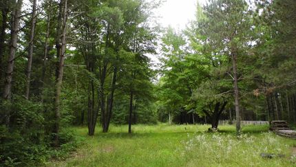 Farm and Ranch in Saginaw County, Michigan