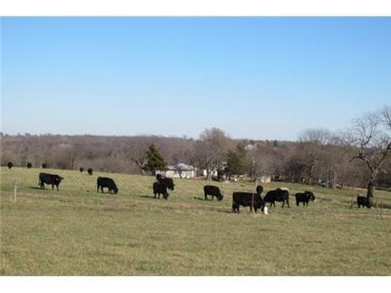 Farm and Ranch in Cass County, Missouri