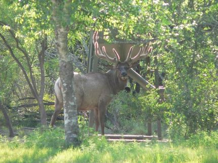 Land in Atascosa County, Texas