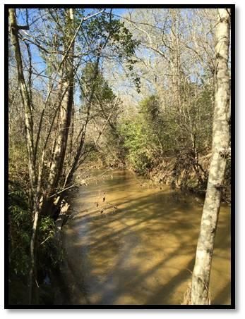 Land in Abbeville County, South Carolina