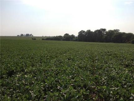 Farm and Ranch in Clay County, Missouri