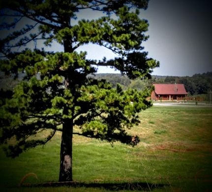 Farm and Ranch in Howell County, Missouri