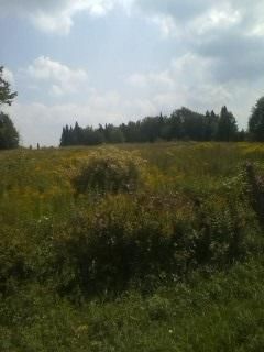Commercial Property in Lewis County, New York