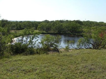Farm and Ranch in McCulloch County, Texas