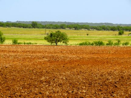 Timberland Property in Throckmorton County, Texas