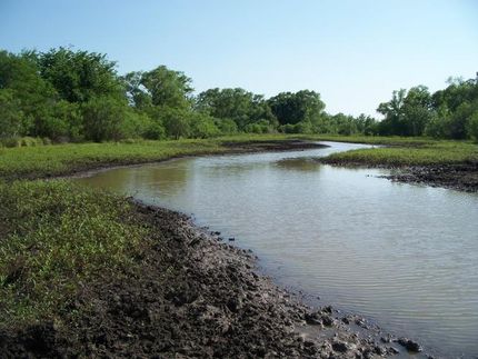 Land in Robertson County, Texas