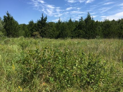 Land in Benton County, Missouri