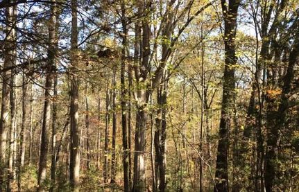 Land in Abbeville County, South Carolina
