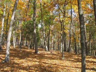 Land in Hampshire County, West Virginia