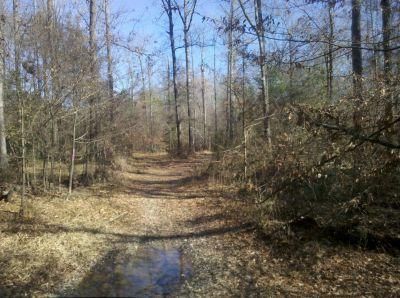 Land in Ouachita County, Arkansas