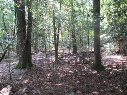 Farm and Ranch in Conecuh County, Alabama