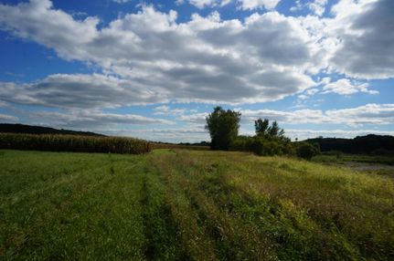 Farm and Ranch in Obrien County, Iowa