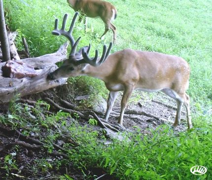 Farm and Ranch in Jackson County, Tennessee
