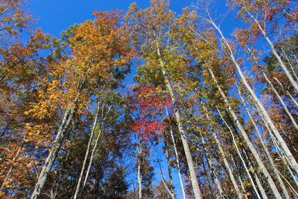 Land in Rhea County, Tennessee