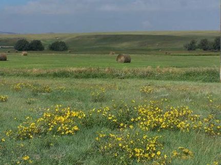 Farm and Ranch in Laramie County, Wyoming