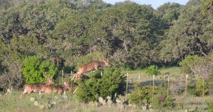 House in Edwards County, Texas