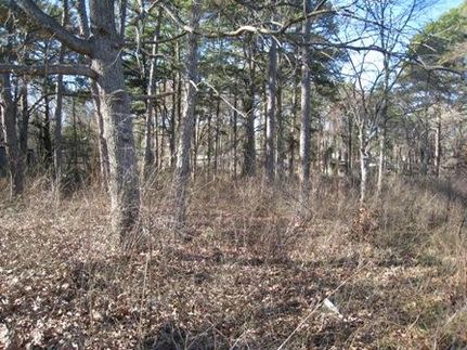 Timberland Property in Henderson County, Texas