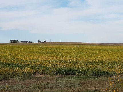 Farm and Ranch in Banner County, Nebraska